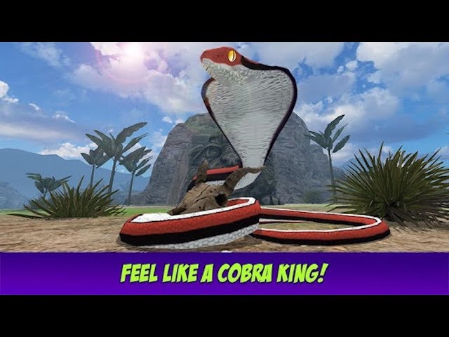 cobra snake - Recherche Google  Snake, King cobra snake, King cobra