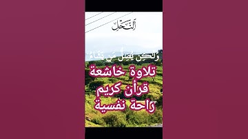 تلاوة خاشعة قرأن كريم راحة نفسية #قران_كريم #قرآن #تلاوة_هادئة #تلاوات_خاشعة