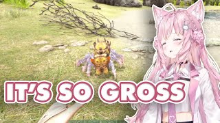 Koyori was creeped out by a Furry Spider that kept following her