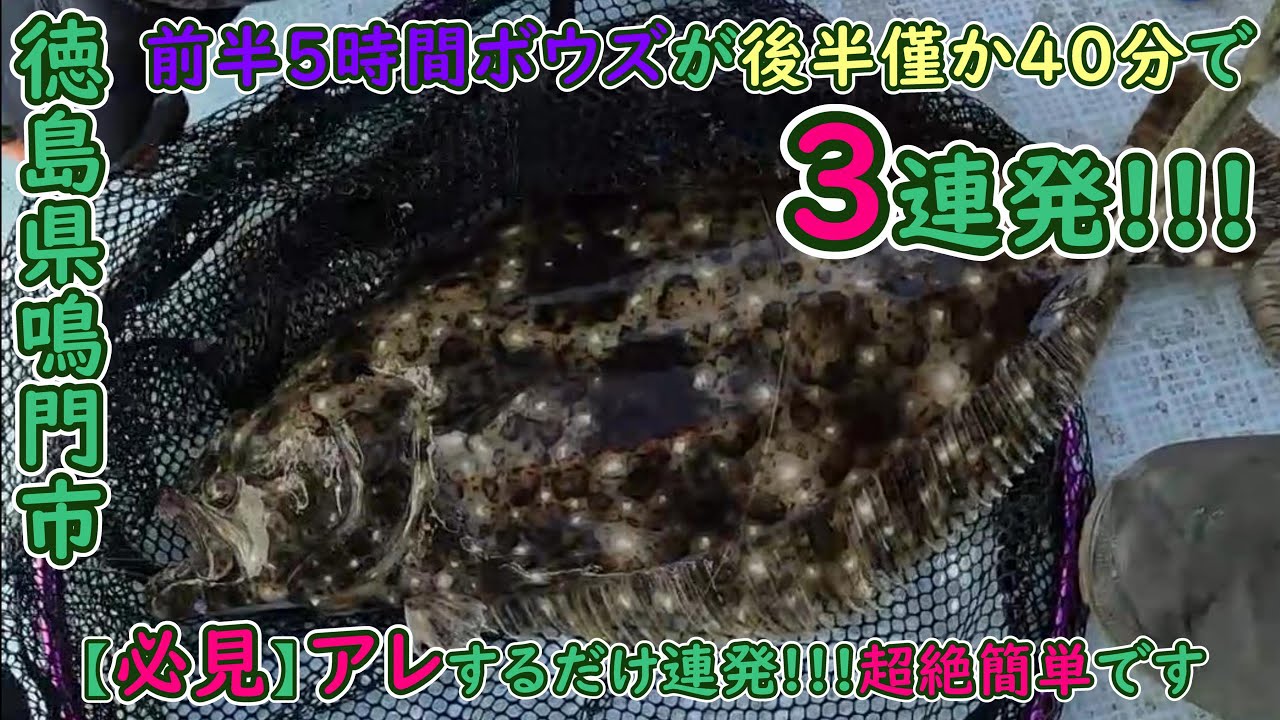 【徳島県 つるぎ】≪ヒラメ≫前半ボウズが後半40分で3連発!!!アレするだけで連発。