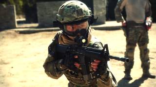 Lion Claws Angel Team At Work