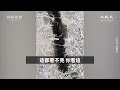 【焦點】中國大陸各地奇觀異象🎯五台山和尚尼姑飯店聚餐還發錢😱  | 台灣大紀元時報