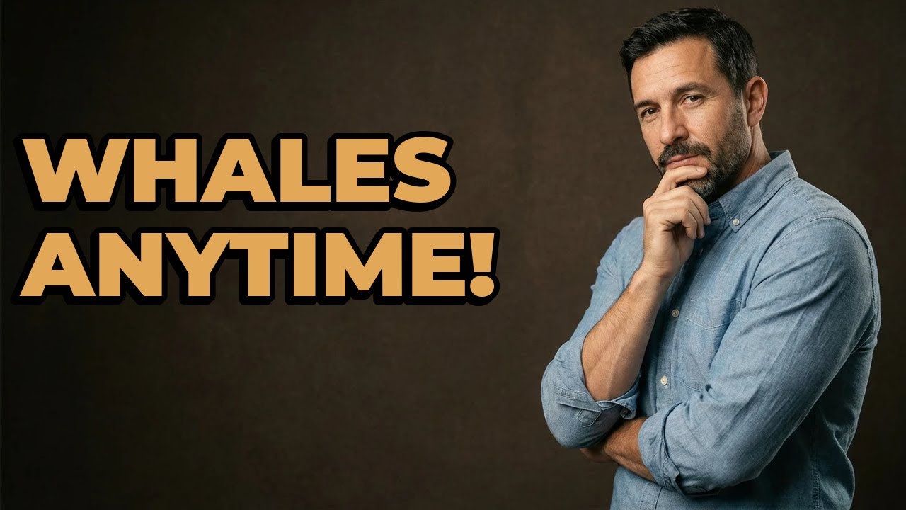 What Time Of Year Can I See Whales In California?