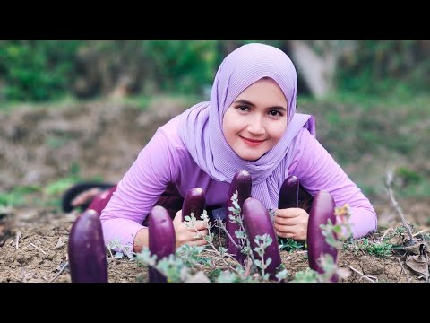 MENGEJUTKAN😂‼️NENG ENJI JANDA CANTIK PANEN JAMUR LANGKA DI SAWAH, TUMBUHNYA SATU ABAD SEKALI