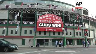 Cubs Fans Spell Out Love for Team in Chalk