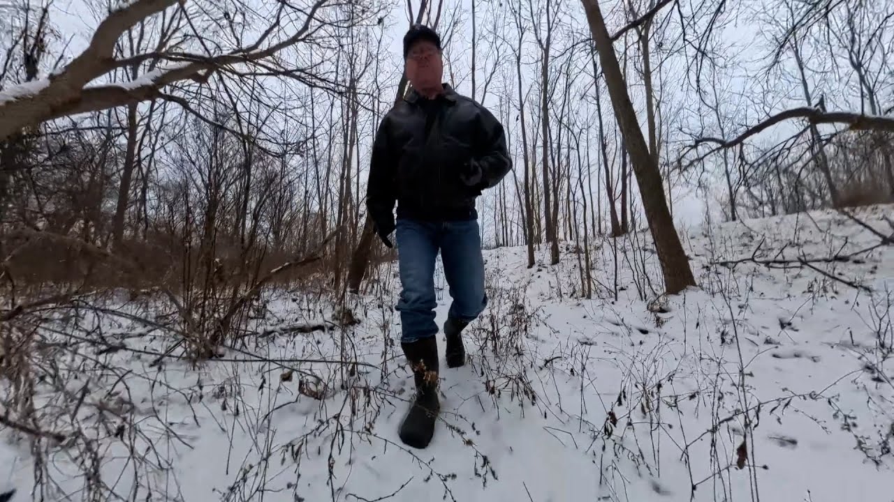 Прогулка по Заколдованному лесу