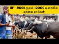கோடிகளில் வியாபாரம் நடக்கும் ஒரே வாரச் சந்தை  HF & Jersey cattle Market | Uzhavan TV