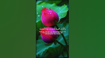 سورة الزمر #قرآن #قرأن_كريم_راحة_نفسية #duet #الرحمن #لايك #Mehar_sialkot