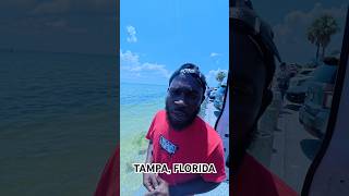 Tampa florida is full, stop moving here #tampa #florida #beach #summer #hood