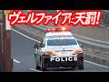 パトカーの目の前で信号無視！ぶっちぎりヴェルファイアが捕まる瞬間！【パトカーによる信号無視取り締まり】