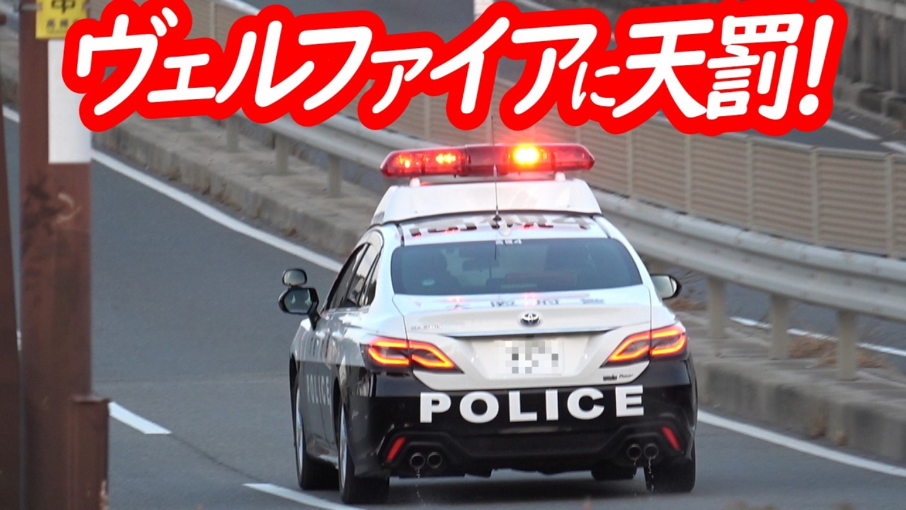 パトカーの目の前で信号無視！ぶっちぎりヴェルファイアが捕まる瞬間！【パトカーによる信号無視取り締まり】