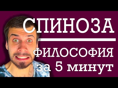 Видео: Почему Спиноза рационалист?