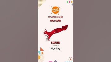 Từ vựng tiếng Anh chủ đề Hải Sản thông dụng nhất - Phần 2