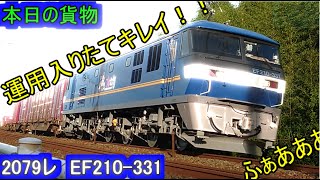 【本日の貨物】2079レ　EF210 331