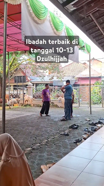 Potong hewan qurban di hari raya idul adha 1446 H / 2025 M dan hari tasyriq