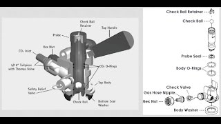 How to clean a draft beer tap keg coupler