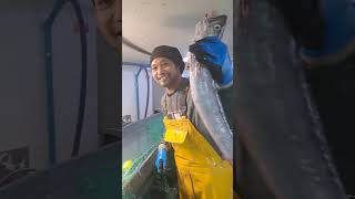 suasana kerja di kapal volanta ( jaring merluza )bendera france