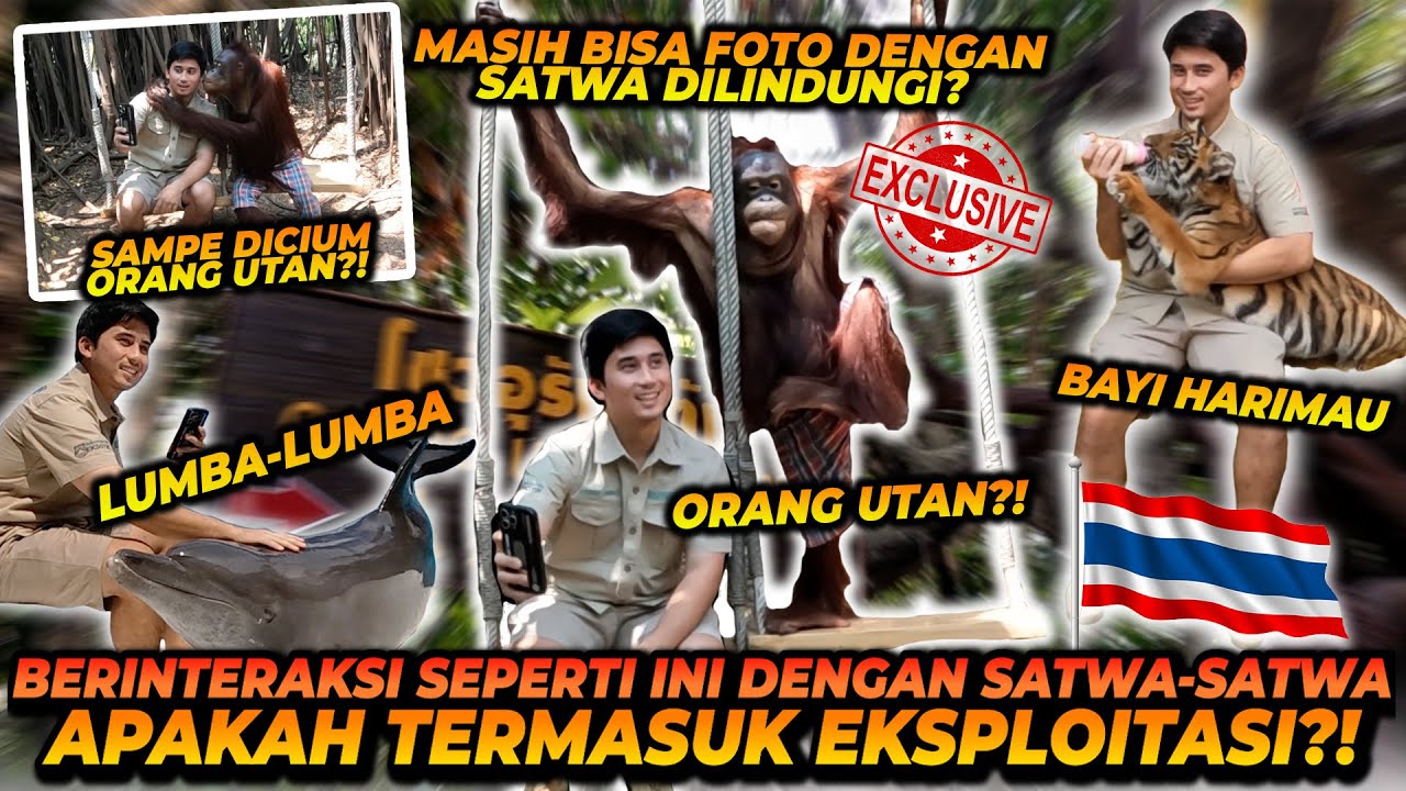 DI KEBUN BINATANG INI MASIH BISA BERINTERAKSI DAN FOTO DENGAN ORANG UTAN, LUMBA-LUMBA DAN HARIMAU !!