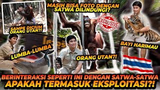 DI KEBUN BINATANG INI MASIH BISA BERINTERAKSI DAN FOTO DENGAN ORANG UTAN, LUMBALUMBA DAN HARIMAU !!