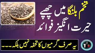 Tukhm Malanga Ke fayde | Tukhme Balanga Ke Fawaid | Health Benefits Of chia Seeds | Tukh Malanga