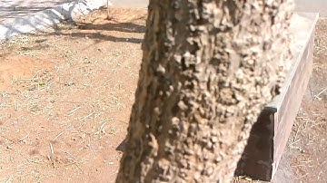 Micromax Mad A94 camera sample 720p video recording