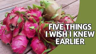 Five Things I Wish I Knew When i Started My Dragon Fruit Journey