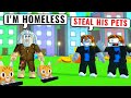 STEALING a HOMELESS MAN's EXCLUSIVES! in Pet Simulator X