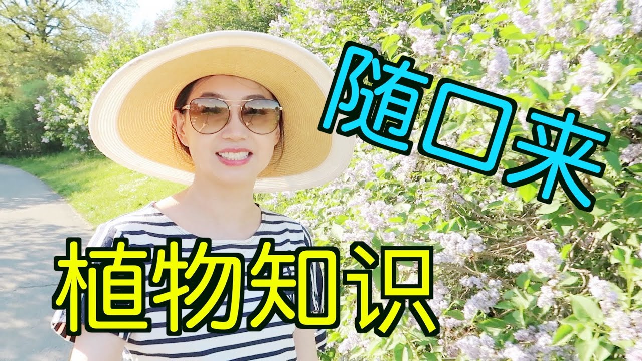 退居幕后聊植物 分类 裸子被子 单双子叶 花基数 分化起源 线粒体 嫁接 种间隔离 有限vs无限花序 Highland Park Eastman House Tt Yaya Youtube