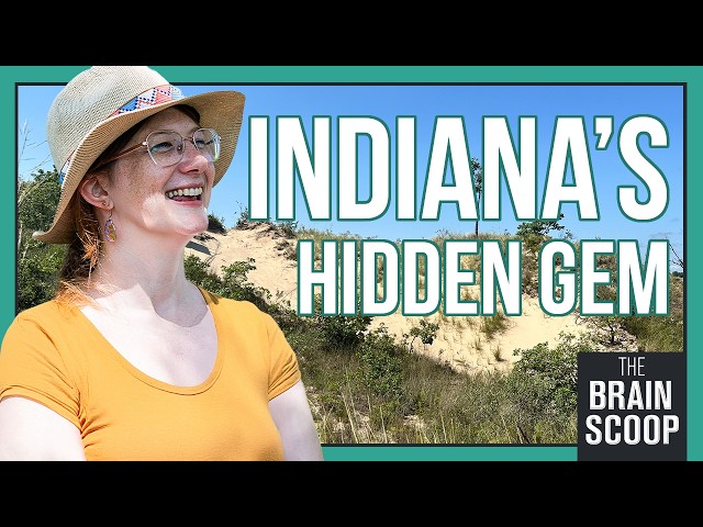 Video: Why these beaches near Chicago almost disappeared