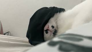 IMG 0616