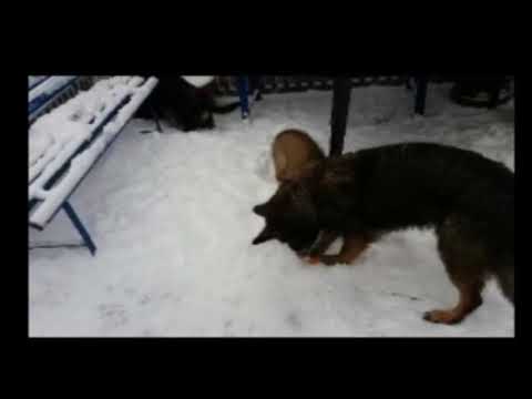 23 01 2022 13 Wochen