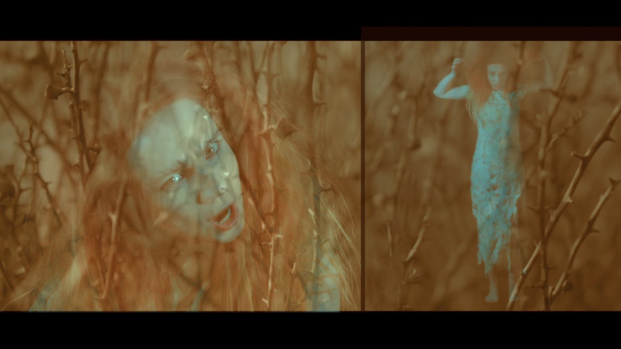 Elin Kaaven - Gavnnahallan / Revealed - Sami Music