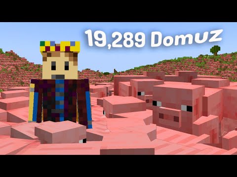 Neden Bu Minecraft SMP'de TÜM DOMUZLARI Öldürdüm? (19,289 Domuz..)