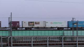 【JR貨物】1056レ EH500 ＆ 8057レ EF510