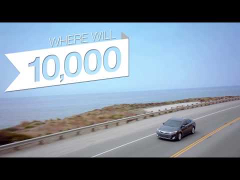 Toyota - Oil