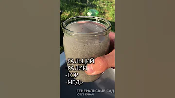 Картошка будет крупной и вкусной! Опрыскиваю этим во время жары!