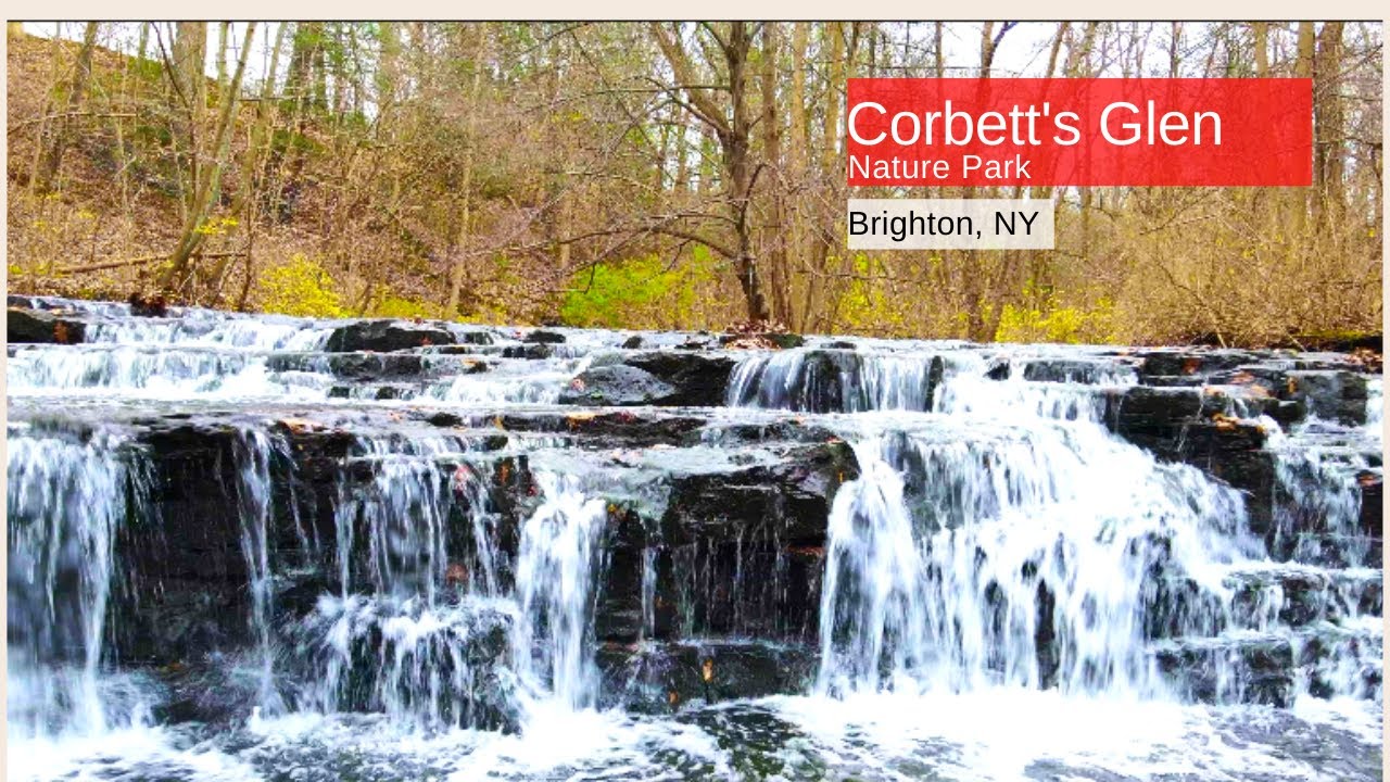 Rochester NY | Aerial Drone Footage | 4k | Corbett's Glen Nature Park
