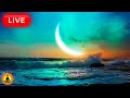 🔴 Deep Sleep Music 24/7, Meditation Music, Sleep Music, Insomnia, Relax, Zen, Study Music, Waves