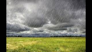 Relax and fall asleep with calming rain and soft thunder sounds. Perfect for sleep#ASMR #RainSounds  screenshot 2