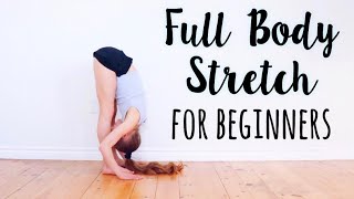 Beginner Stretches for Flexibility