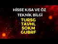 TURSG, TAVHL ,SOKM, GUBRF - DİKKAT!!! Düşme Riski