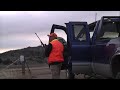 Common hunting violations in Wyoming