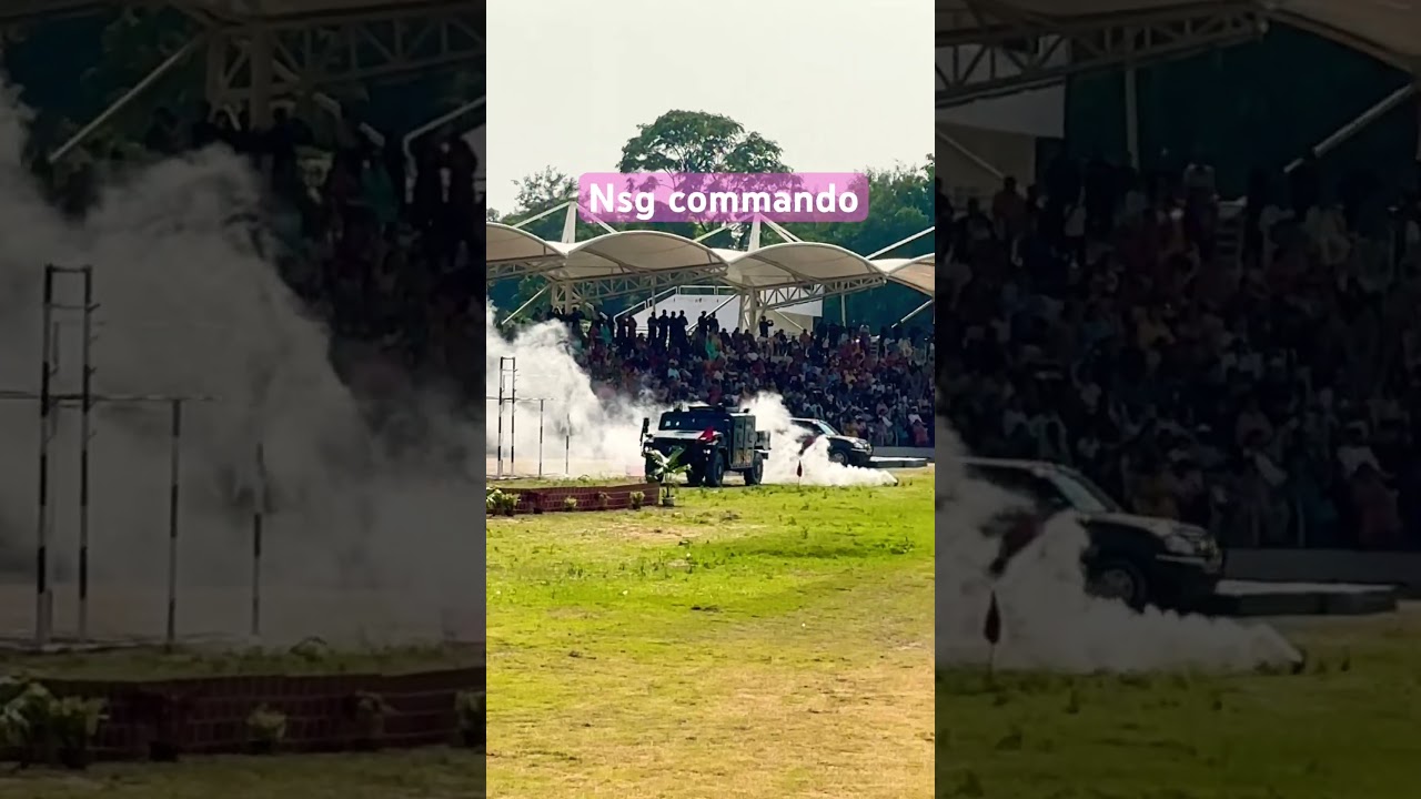 Nsg commando 