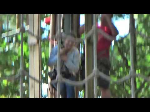 Go Ape Experience Alice Holt Forest