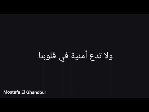شاهد هذا الفيديو ولن تندم