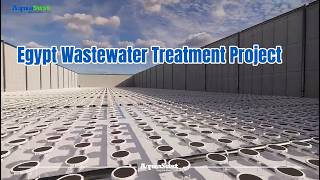 Egypt Wastewater Treatment Project 🇪🇬💧 | Fine Bubble Diffuser 3D Aeration System Design 🌊