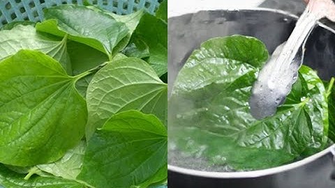 Mách bạn 3 cách chữa viêm xoang bằng lá lốt làm ngay tại nhà II Khỏi dứt điểm, không tái phát