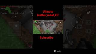 Minecraft I made ultimate leather meat and XP farm subscribe TechnoGrok####