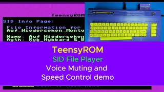 SID Player Voice Mute and Speed Control
