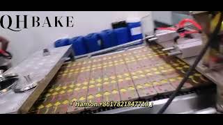 Showcase|Flat lollipop making machine, fully automatic lollipop production line